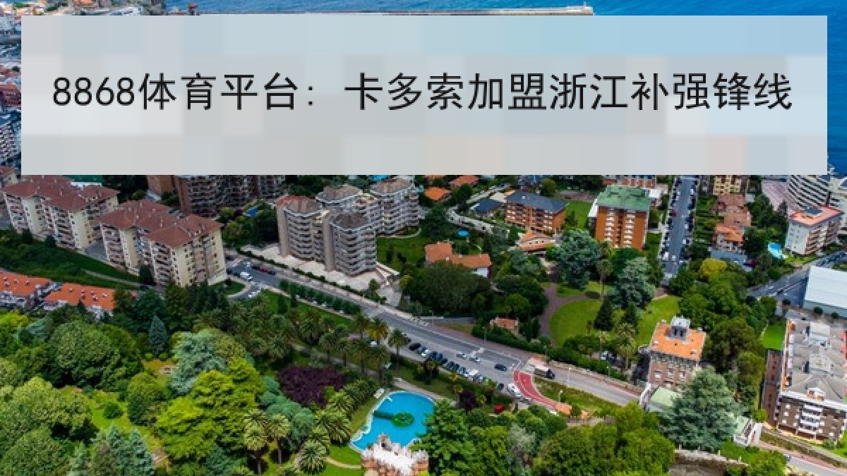 8868体育平台: 卡多索加盟浙江补强锋线