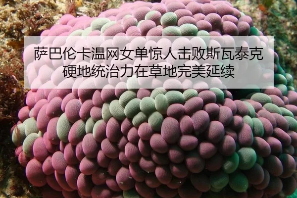 sa-ba-lun-ka-wen-wang-nv-dan-jing-ren-ji-bai-si-wa-tai-ke-ying-di-tong-zhi-li-zai-cao-di-wan-mei-yan-xu-3-326.jpg