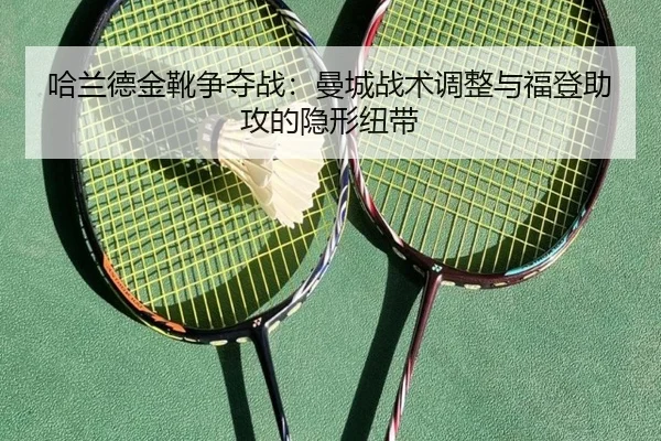 ha-lan-de-jin-xue-zheng-duo-zhan-man-cheng-zhan-shu-tiao-zheng-yu-fu-deng-zhu-gong-de-yin-xing-niu-dai-3-460.jpg